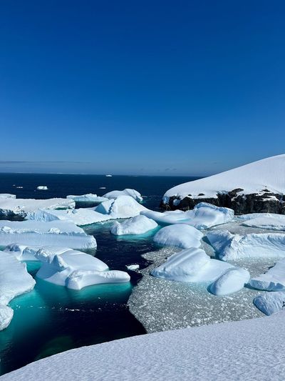 Icebergs drifting in the deep blue of an Antarctic sound