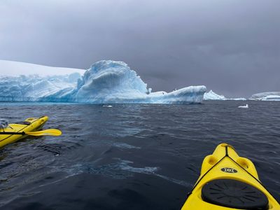 Sea kayakers paddling past an iceberg dotted with penguins in Antarctica